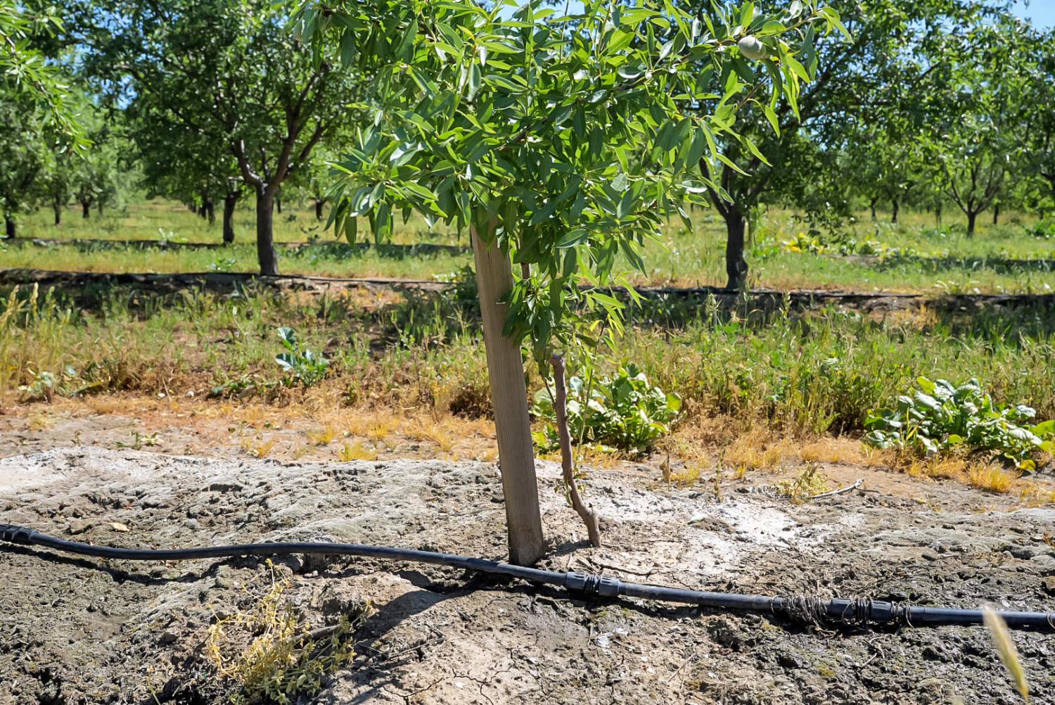 0 Buchanan Hollow Rd, Le Grand, CA 95333