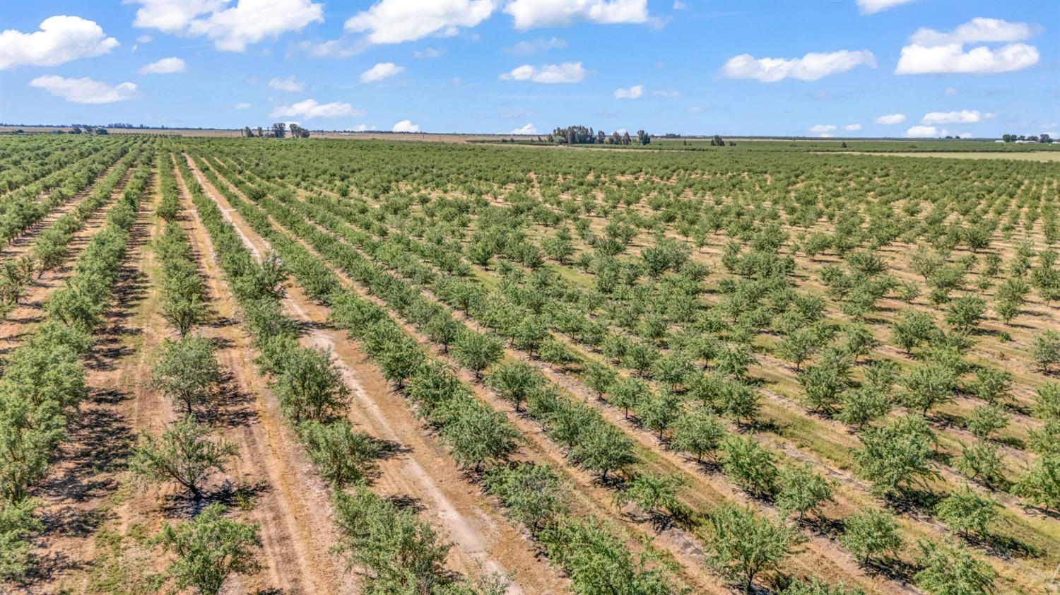 0 Buchanan Hollow Rd, Le Grand, CA 95333