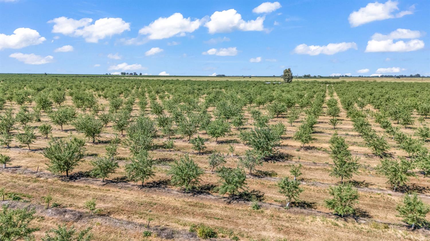 0 Buchanan Hollow Rd, Le Grand, CA 95333