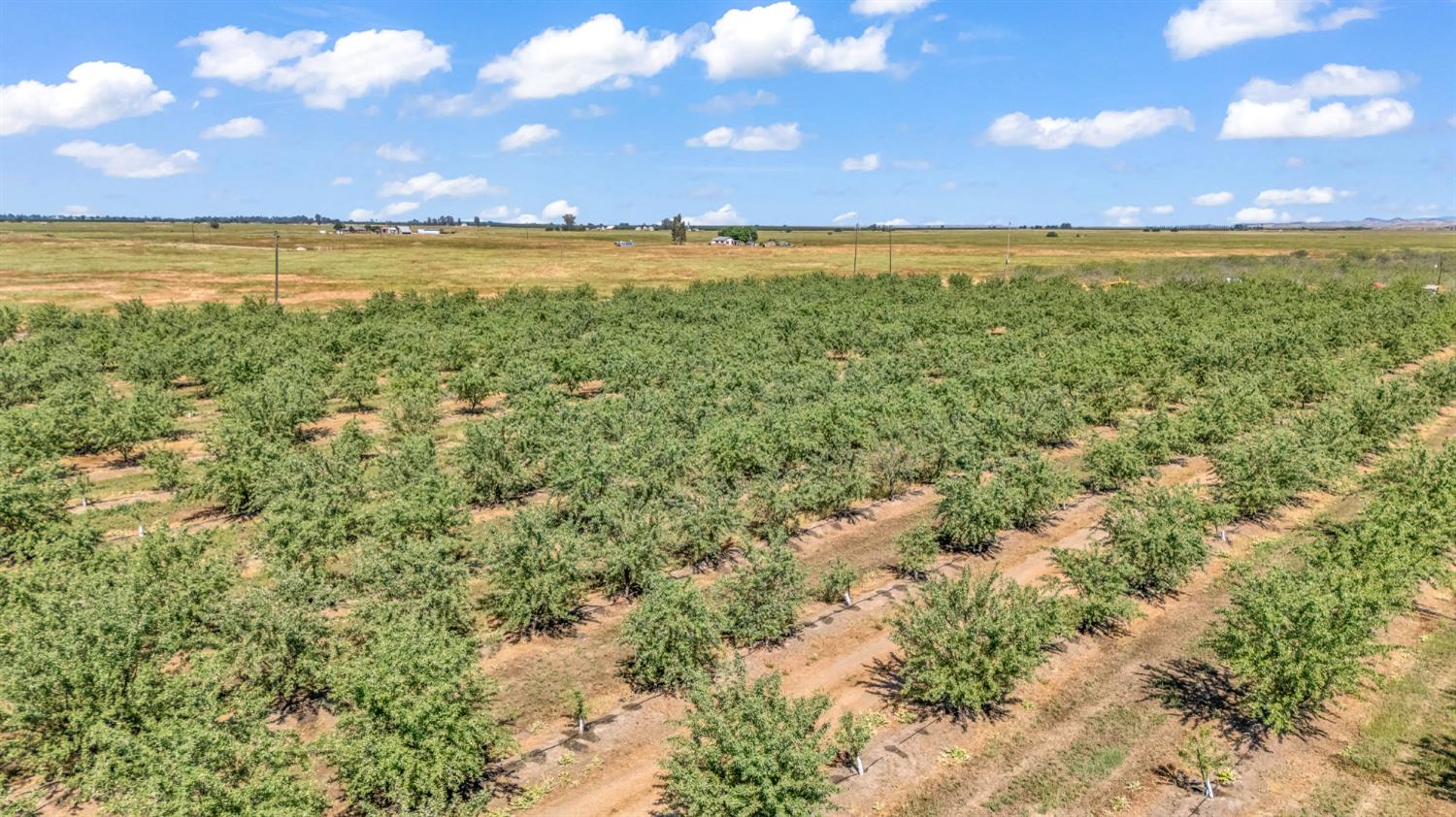 0 Buchanan Hollow Rd, Le Grand, CA 95333