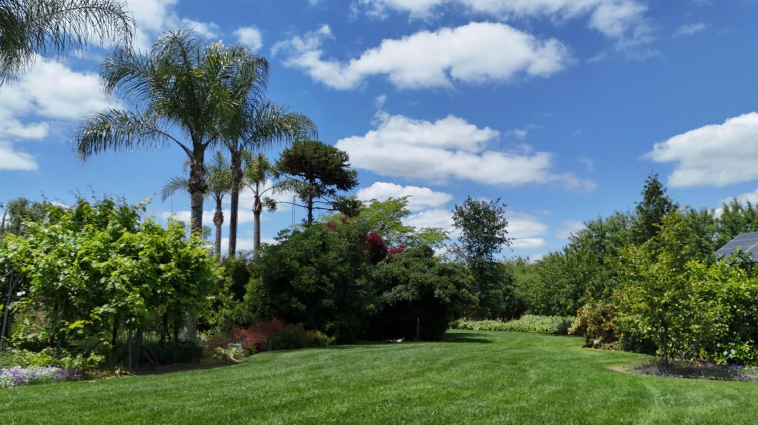 1415 St Francis Ave, Modesto, CA 95356