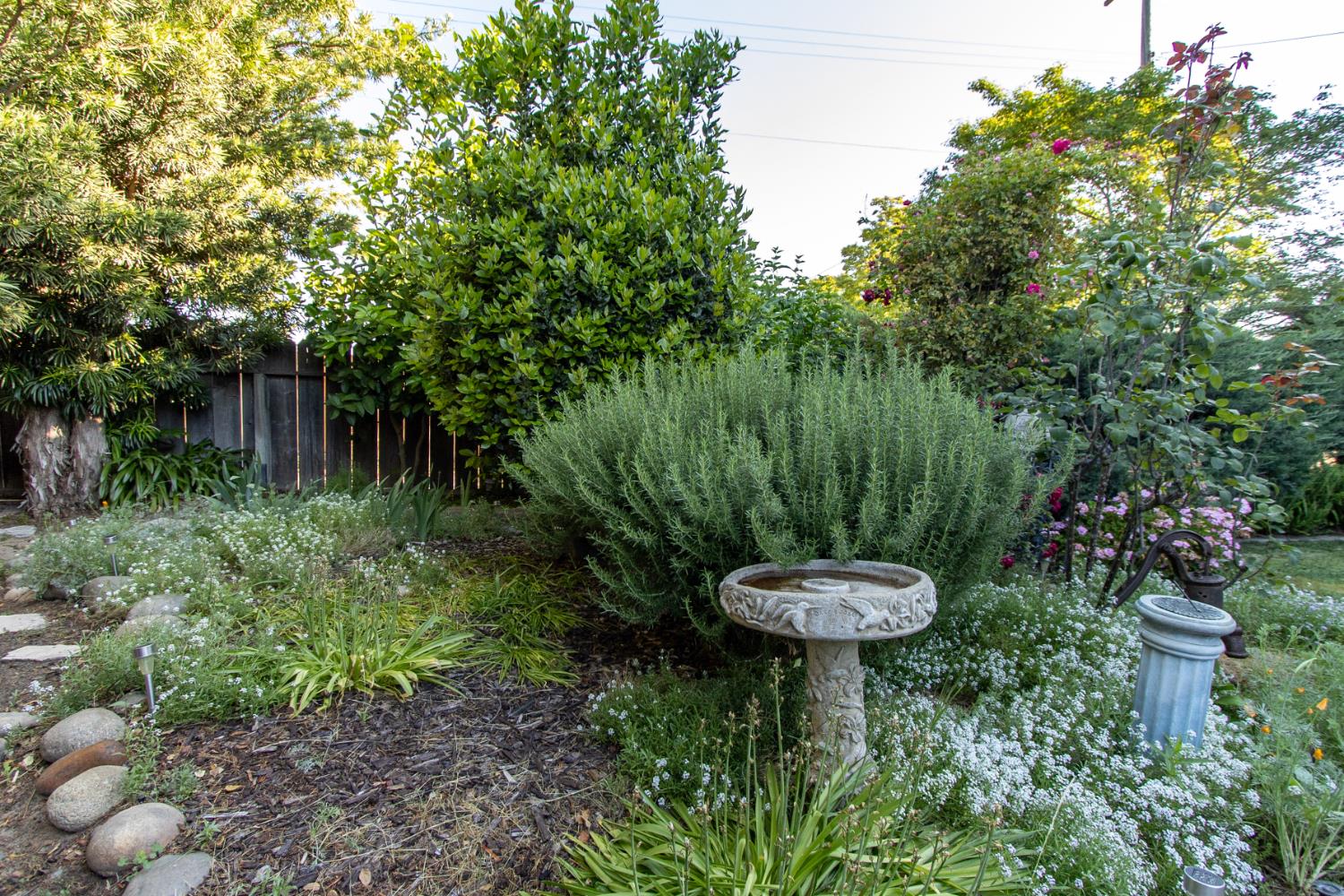 1705 Larkspur Pl, Turlock, CA 95380