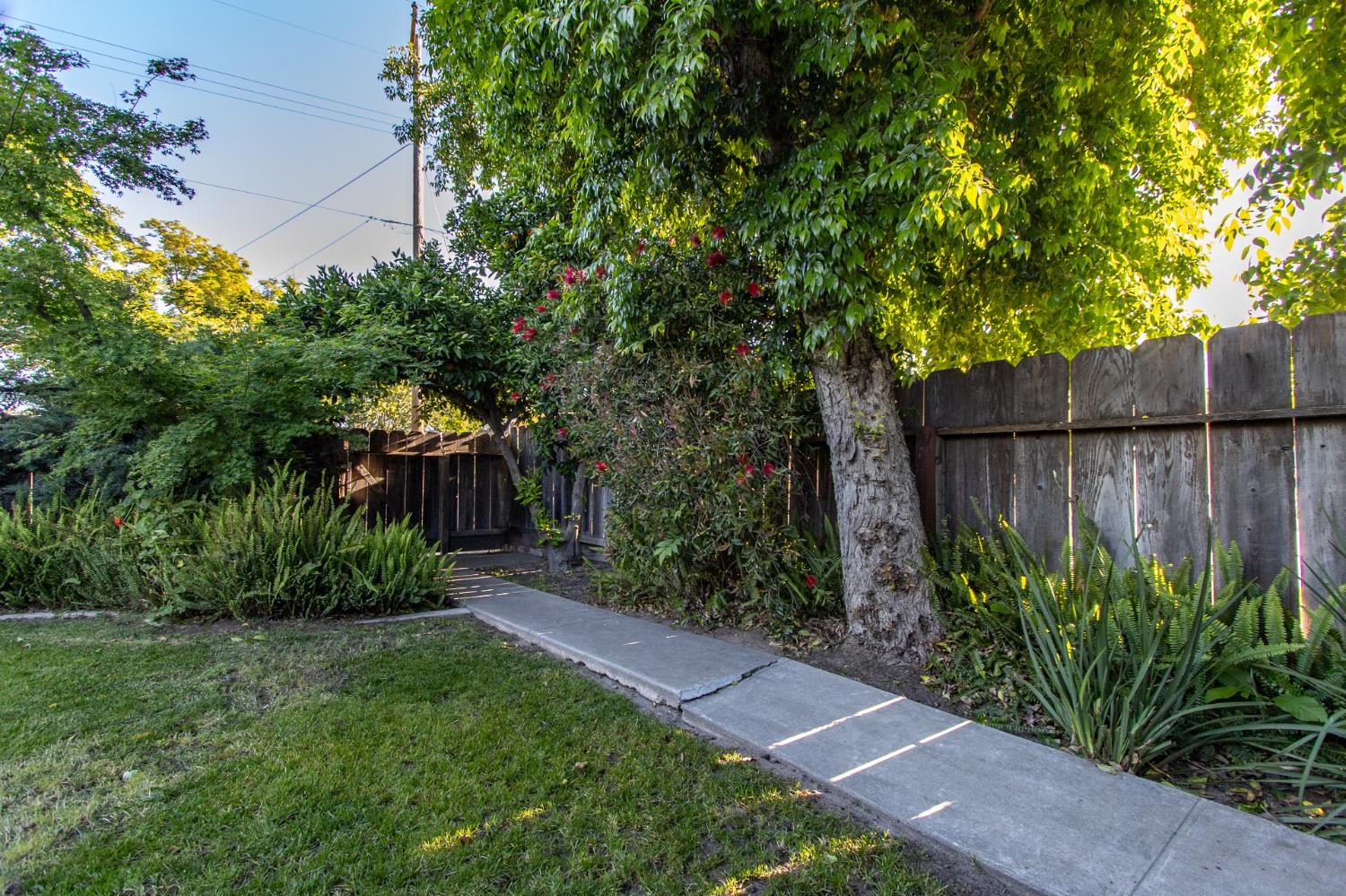 1705 Larkspur Pl, Turlock, CA 95380