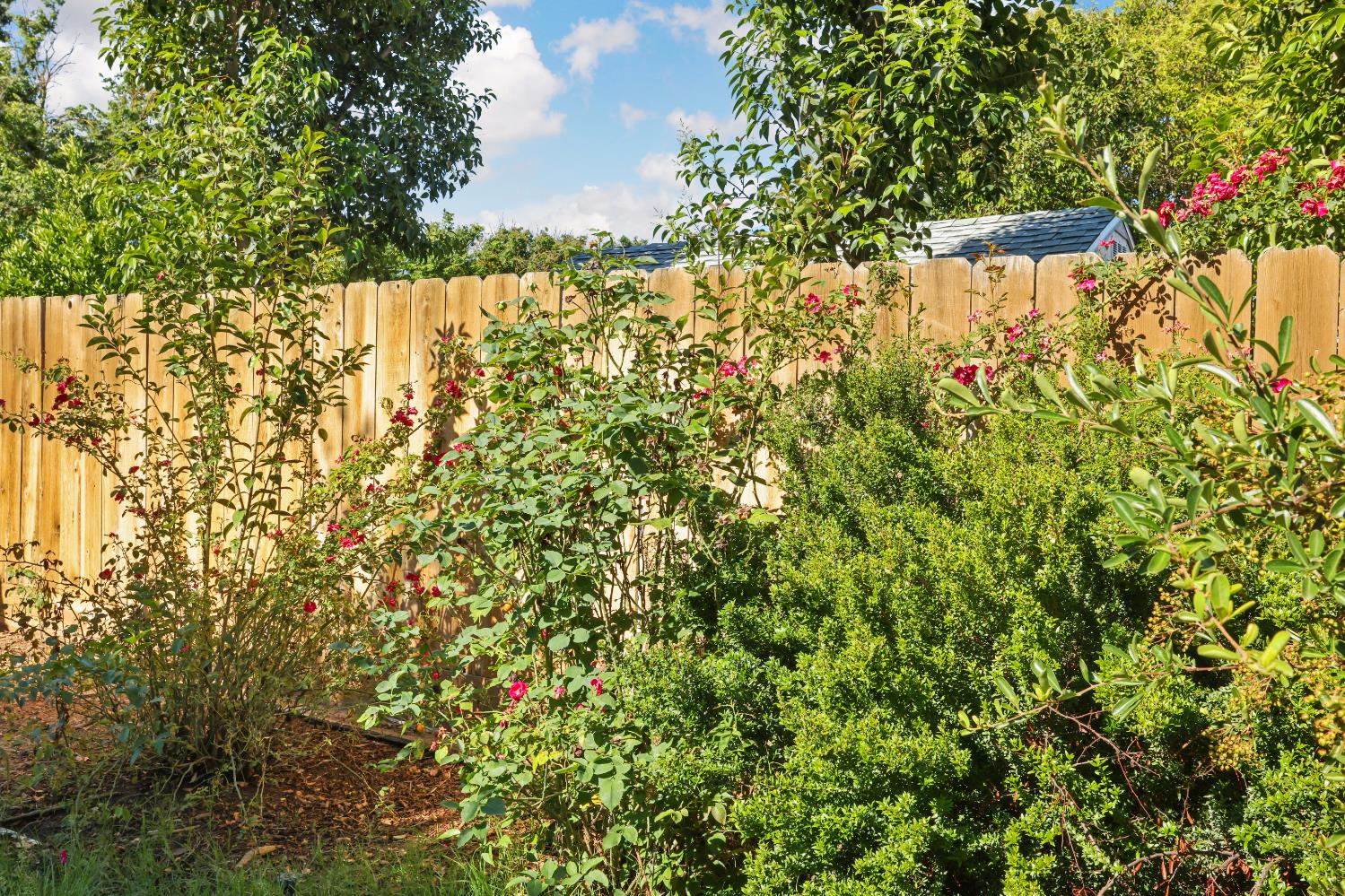 2008 Sheldon Dr, Modesto, CA 95350