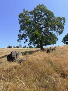 9596 Paraiso Blvd, La Grange, CA 95329