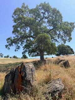 9596 Paraiso Blvd, La Grange, CA 95329