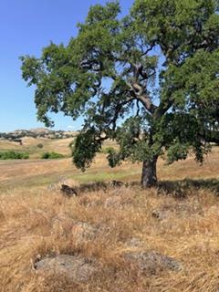 9596 Paraiso Blvd, La Grange, CA 95329