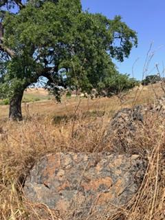 9596 Paraiso Blvd, La Grange, CA 95329