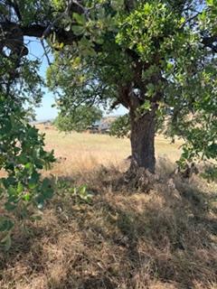 9596 Paraiso Blvd, La Grange, CA 95329