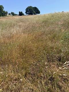 9596 Paraiso Blvd, La Grange, CA 95329