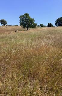 9596 Paraiso Blvd, La Grange, CA 95329