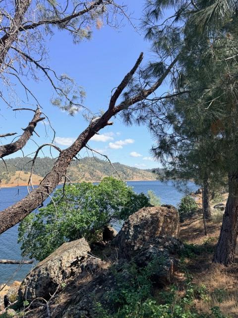 9596 Paraiso Blvd, La Grange, CA 95329