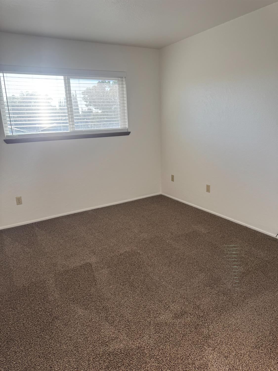 1205 Camden Pl, Manteca, CA 95336