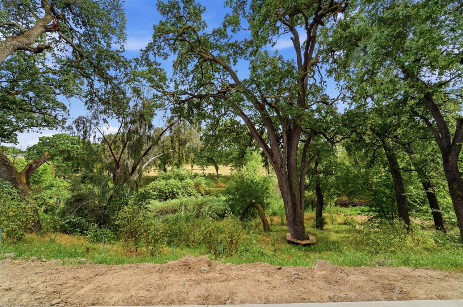 2124 Scenic Dr, Modesto, CA 95355