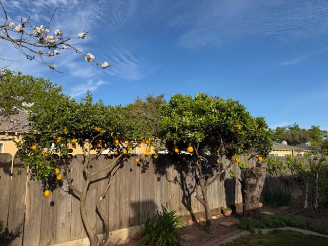 2313 San Rafael Ave, Modesto, CA 95355