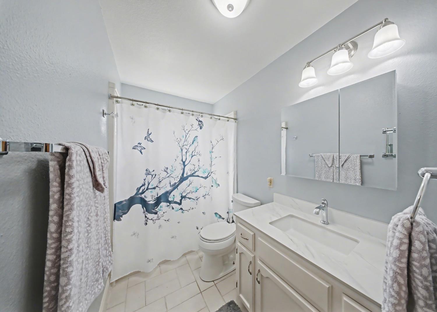 1252 Sterling Pl, Manteca, CA 95336