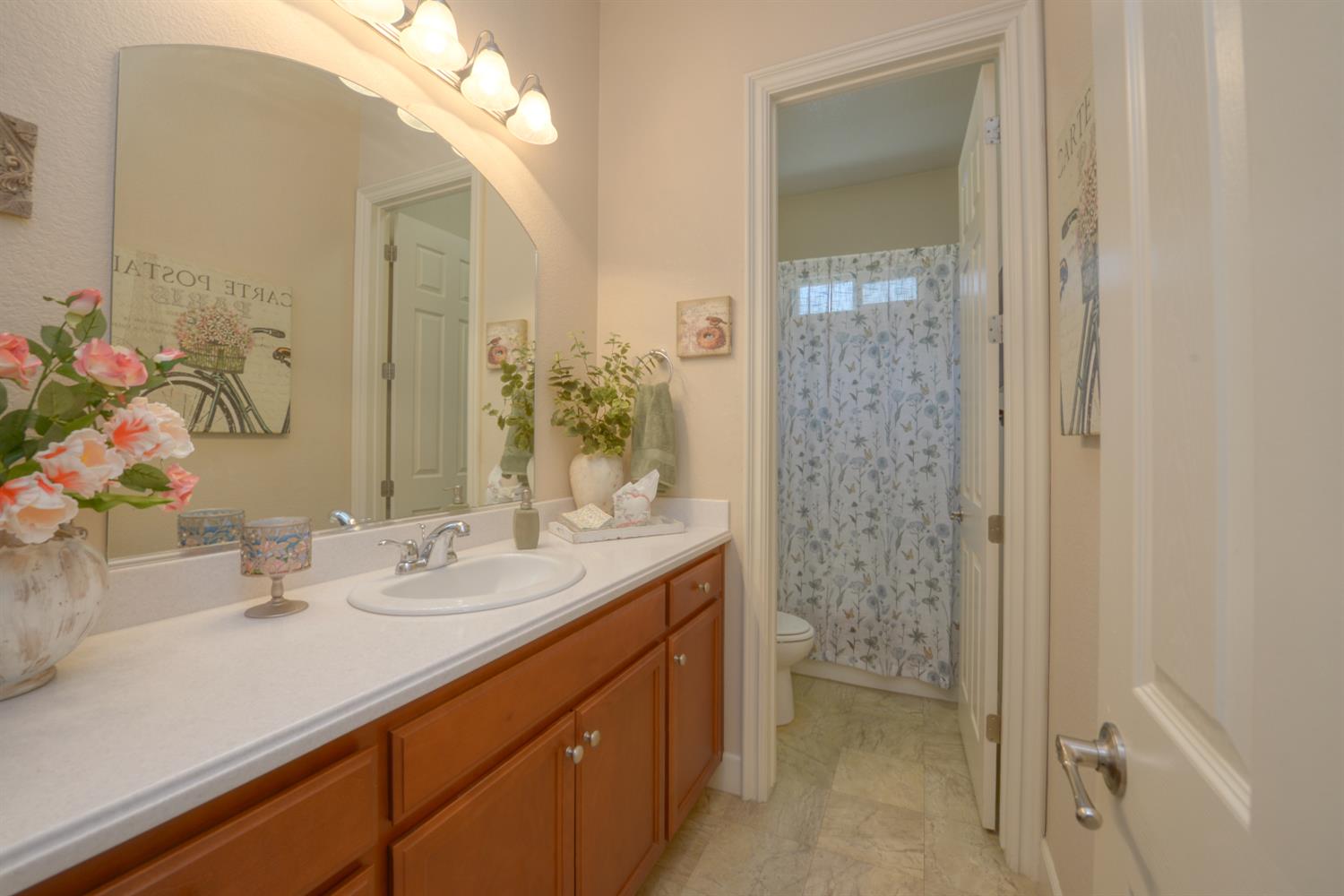 2520 Bird Rock Pl, Turlock, CA 95380