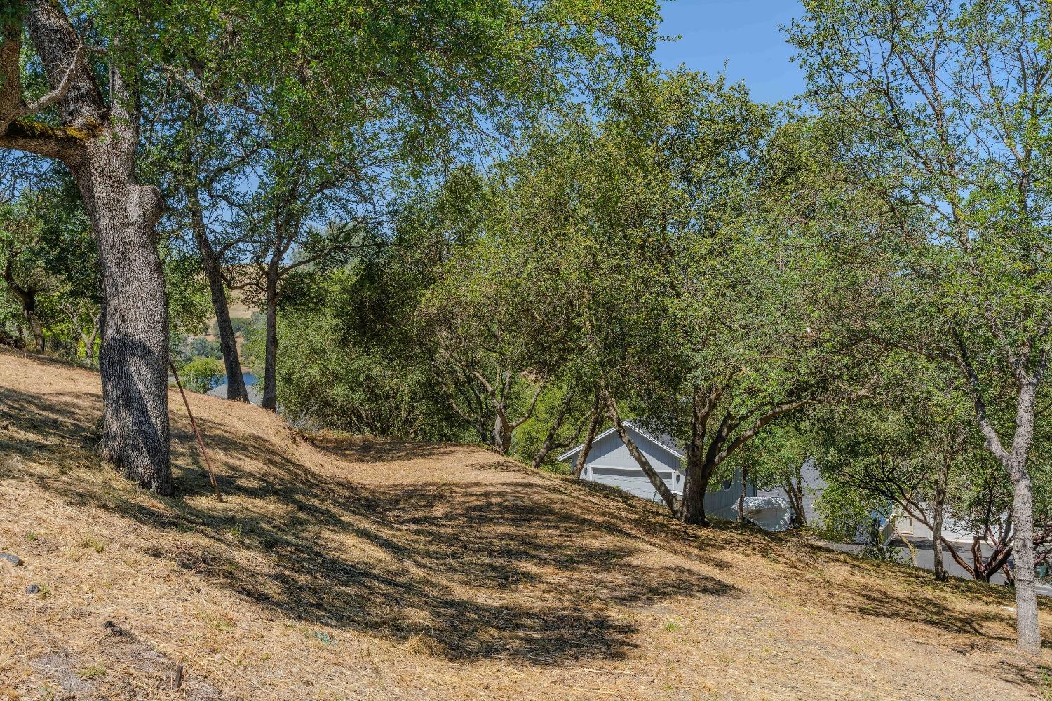 215 Oakhurst Ct, Copperopolis, CA 95228