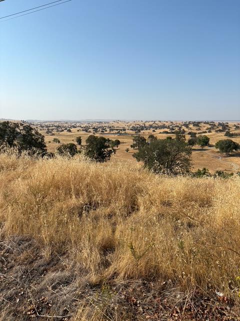 9769 Caracol Cir, La Grange, CA 95329