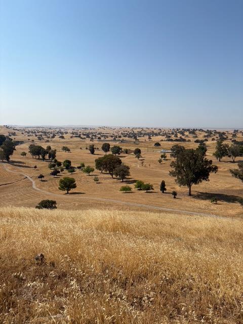 9769 Caracol Cir, La Grange, CA 95329