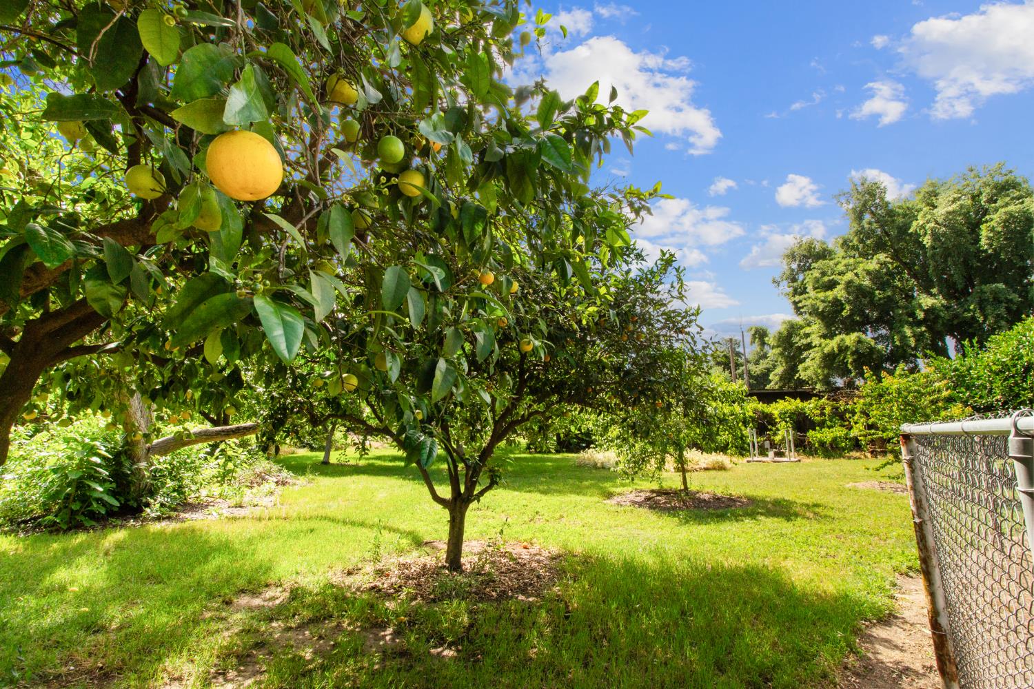 9119 Georgia Ln, Modesto, CA 95357