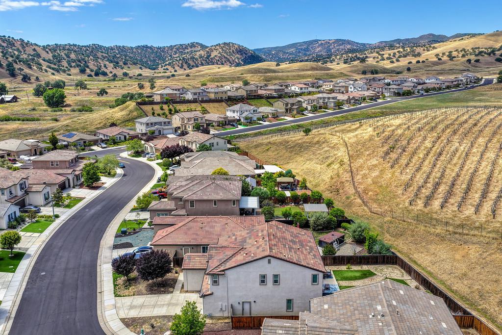 21109 Varietal Ct, Patterson, CA 95363
