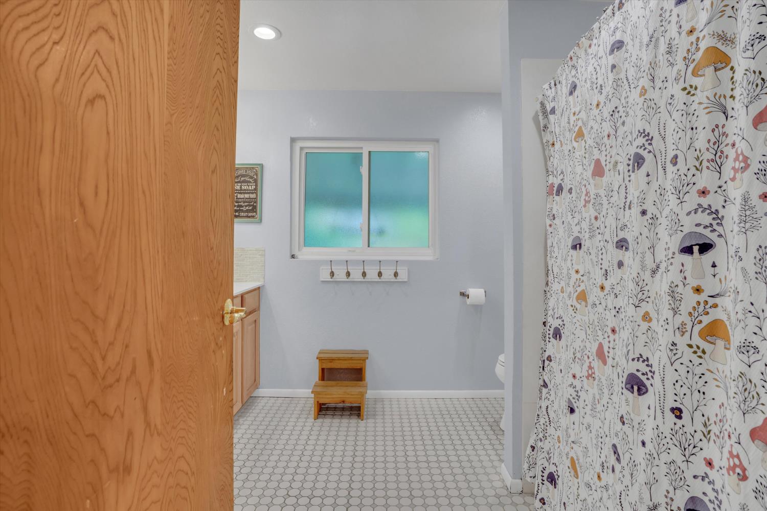 531 Locust Ave, Manteca, CA 95337