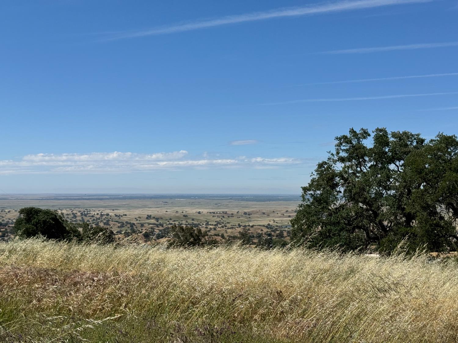 9844 Banderilla Dr, La Grange, CA 95329