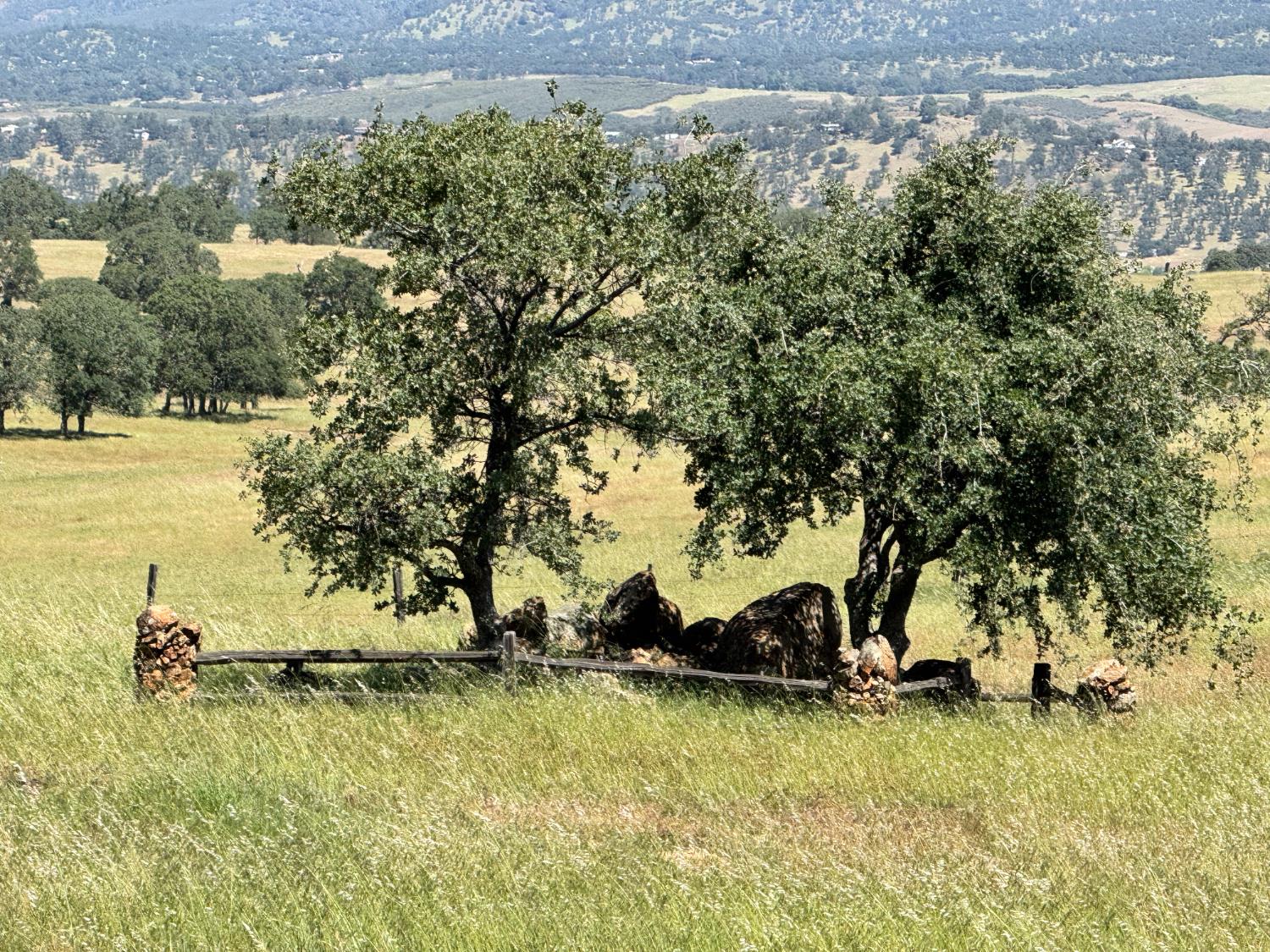 9844 Banderilla Dr, La Grange, CA 95329