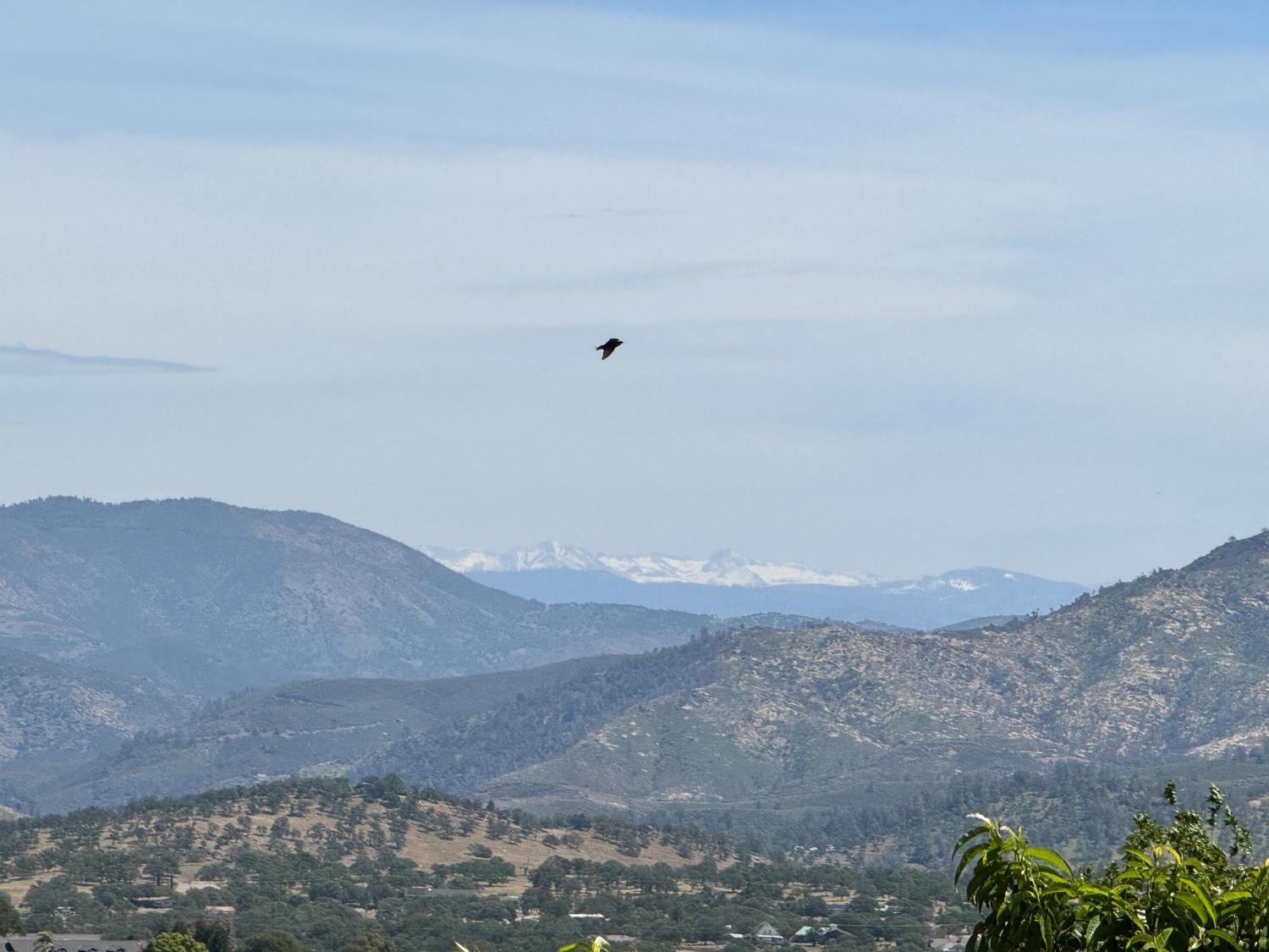 9844 Banderilla Dr, La Grange, CA 95329