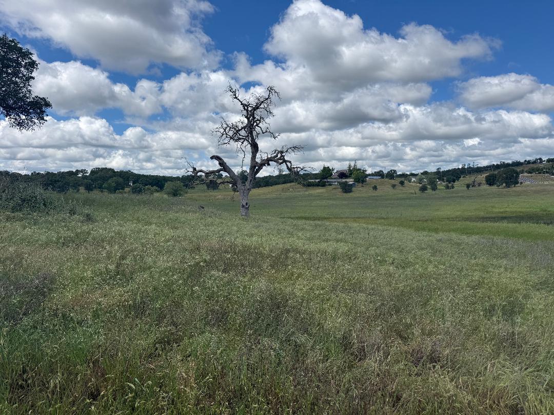 3084 Little John Rd, Copperopolis, CA 95228