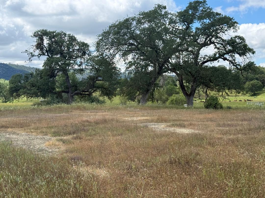 3084 Little John Rd, Copperopolis, CA 95228