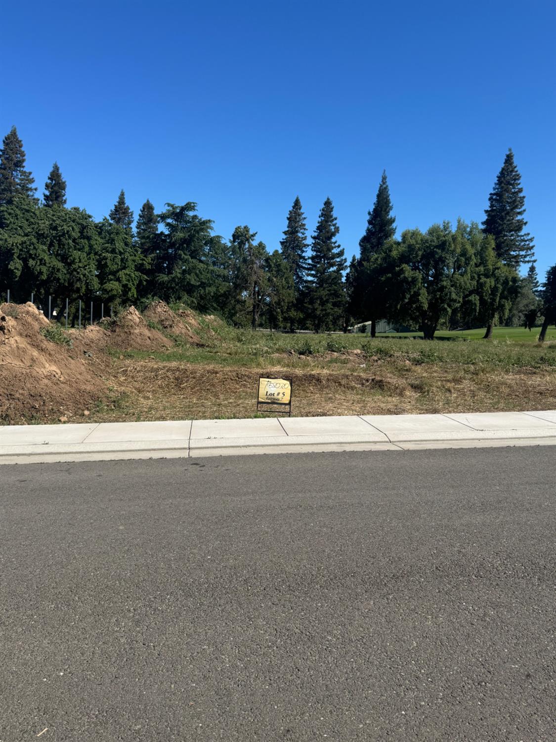 9819 Plaza De Oro Dr, Oakdale, CA 95361