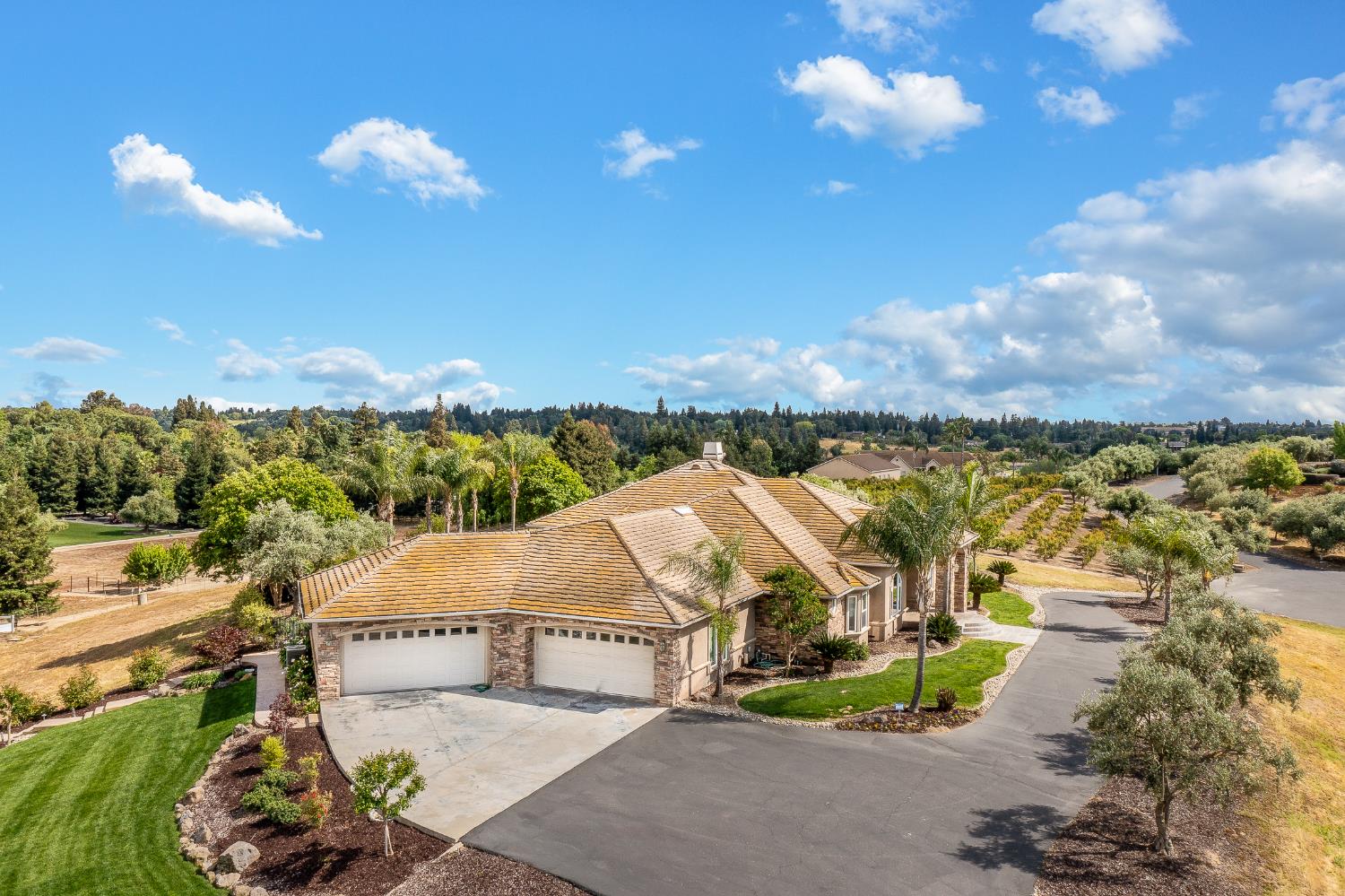 10714 Amerine Ln, Oakdale, CA 95361