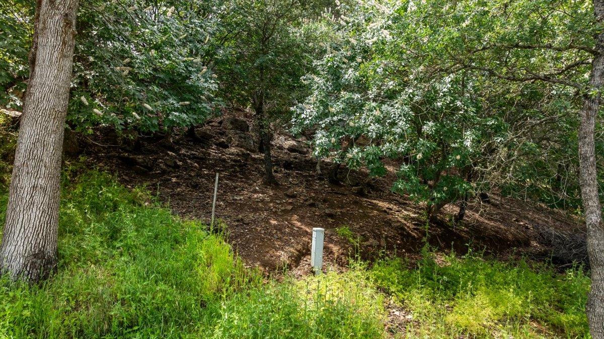 4756 Lakeshore Dr, Copperopolis, CA 95228