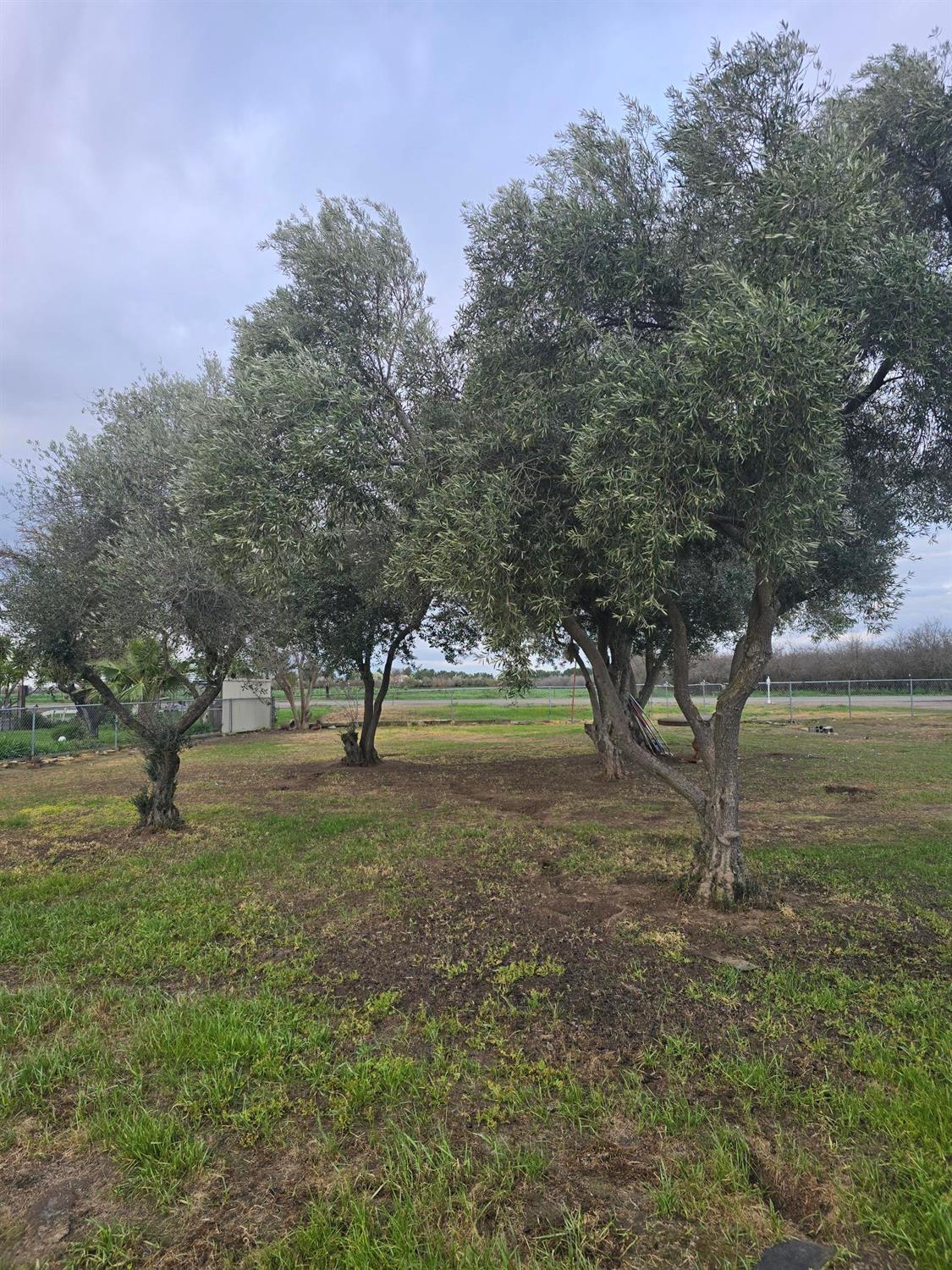 11315 Childs Ave, Le Grand, CA 95333