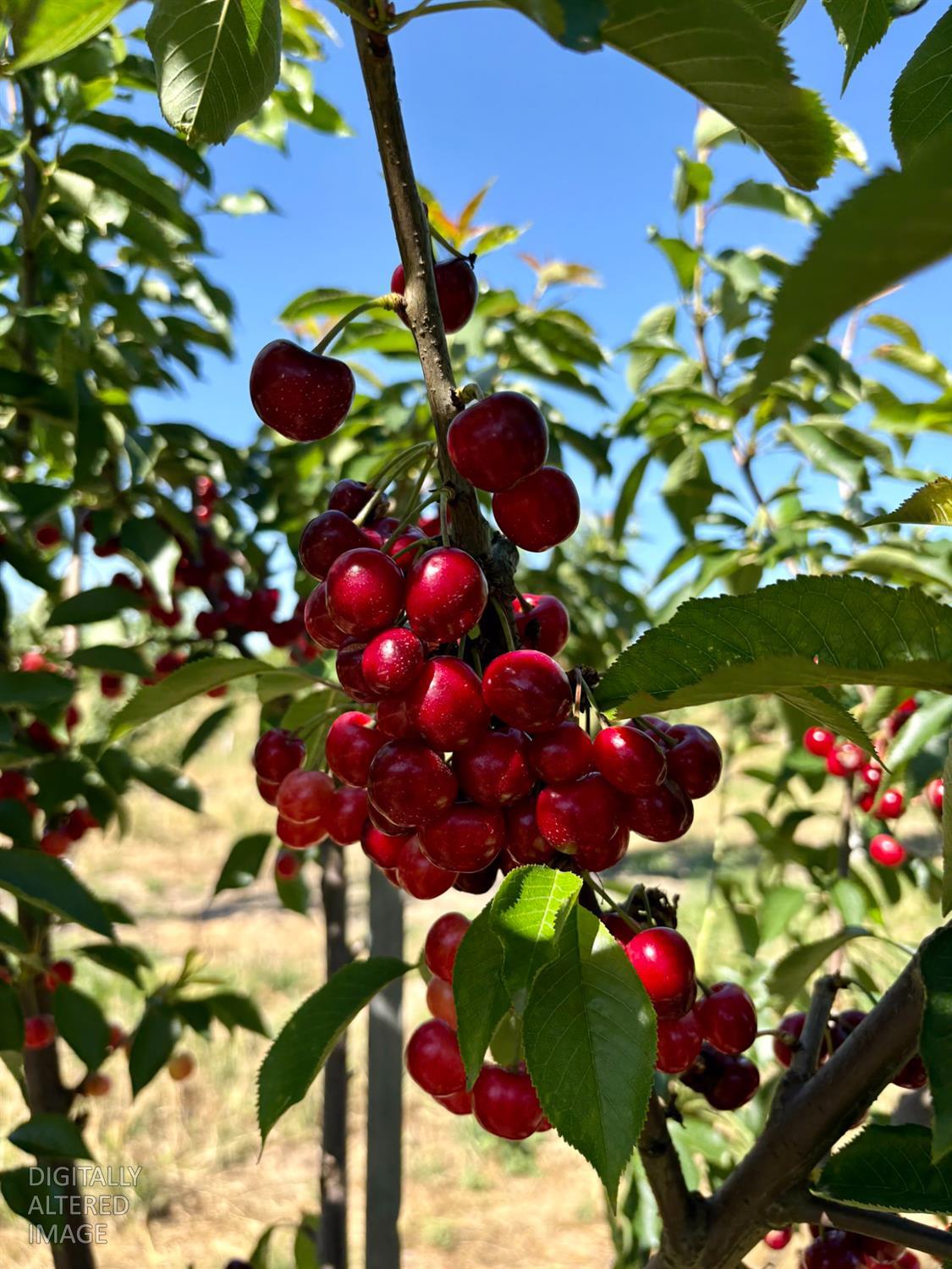 2151 Westside Blvd., Atwater, CA 95301