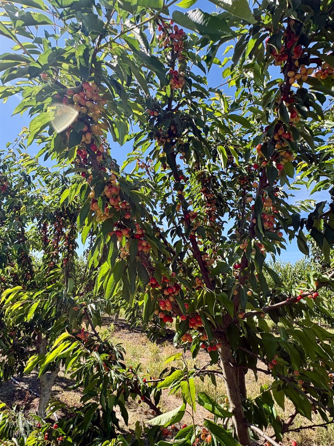 2151 Westside Blvd., Atwater, CA 95301