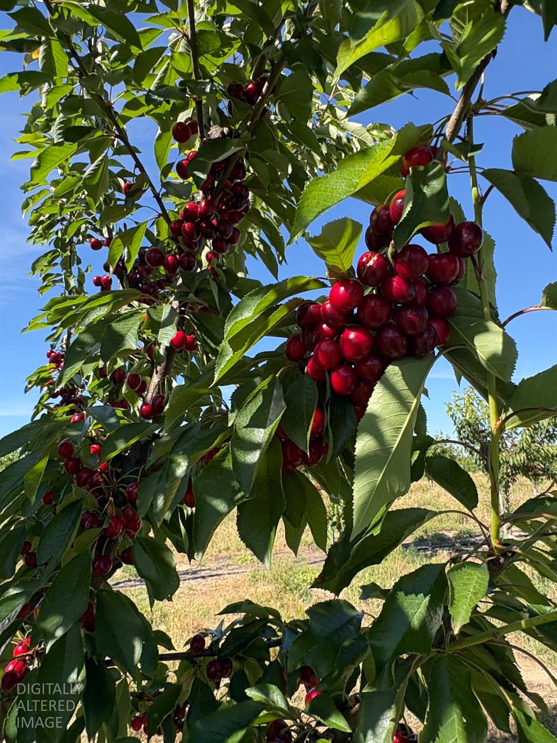 2151 Westside Blvd., Atwater, CA 95301