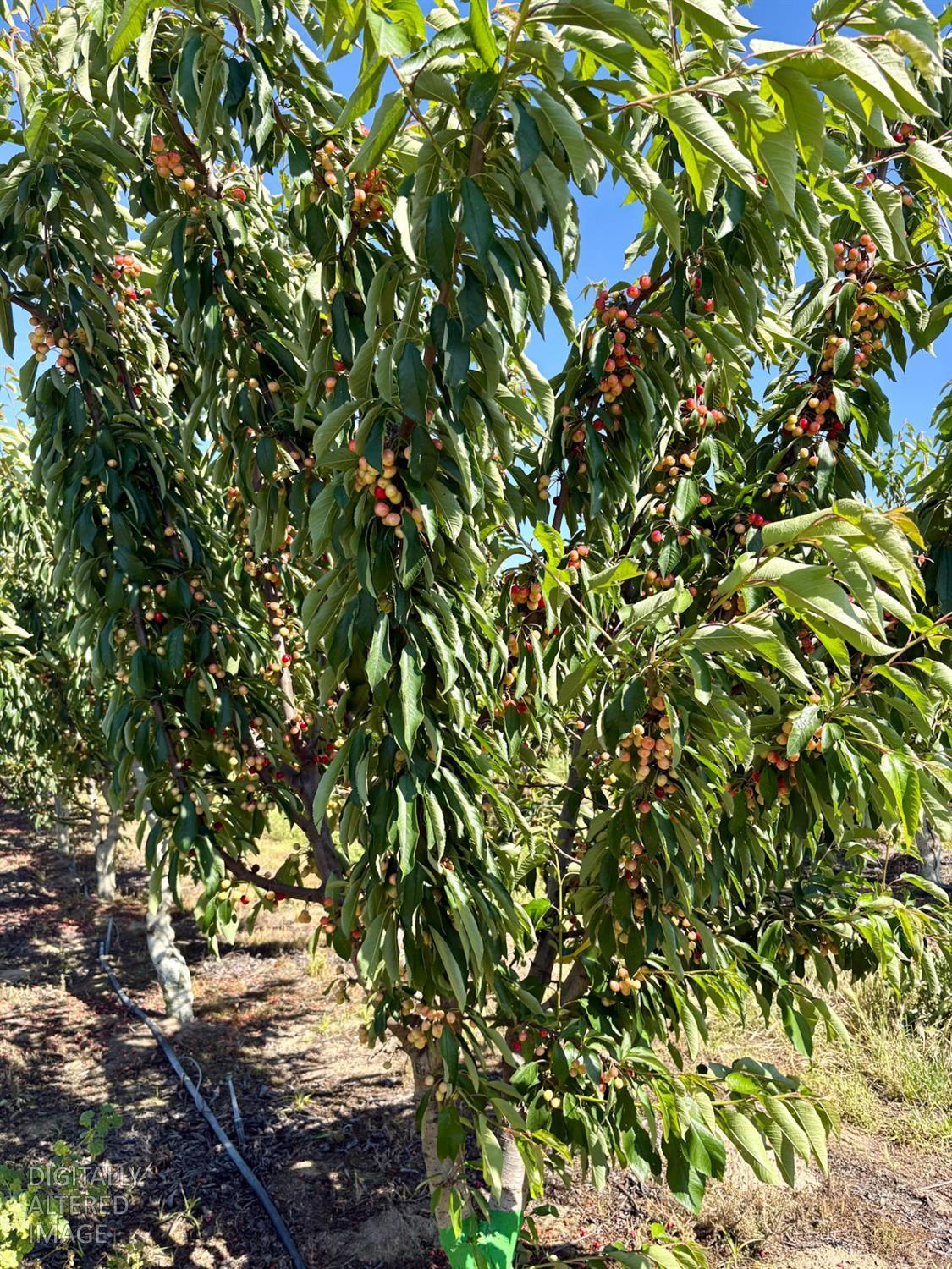 2151 Westside Blvd., Atwater, CA 95301