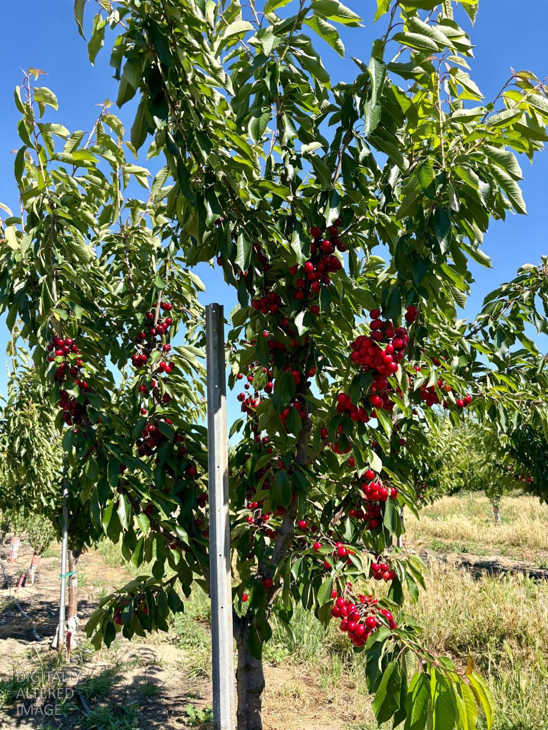 2151 Westside Blvd., Atwater, CA 95301