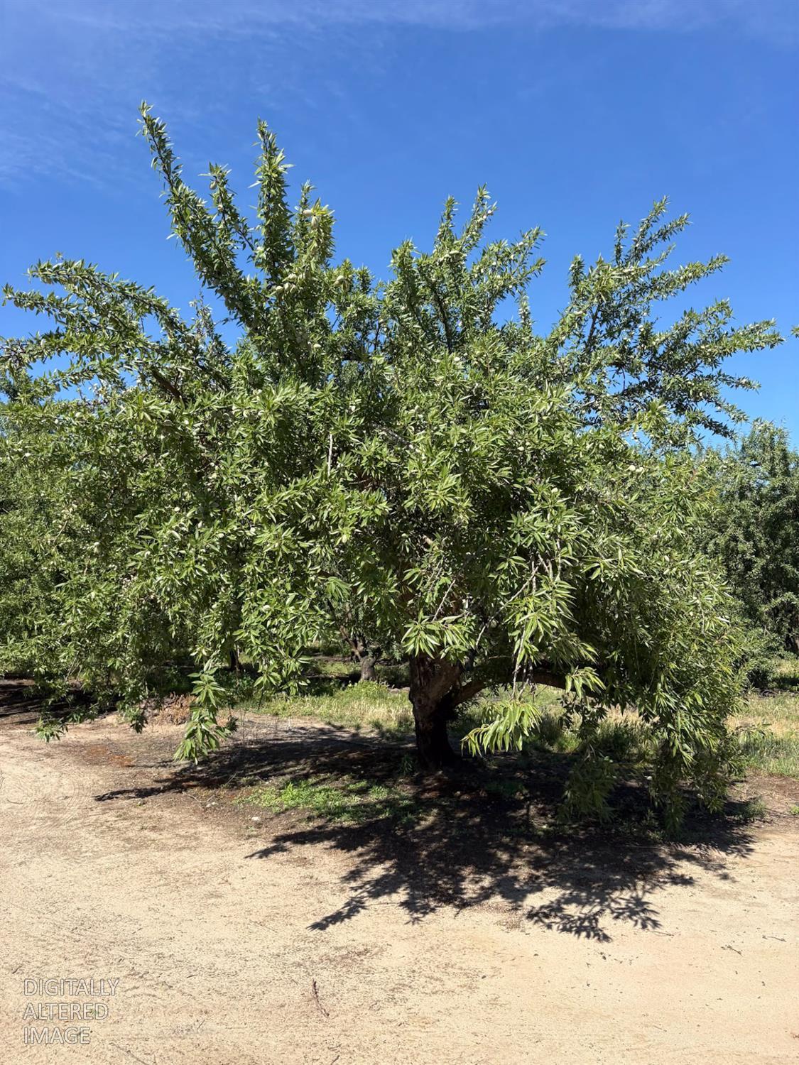 2151 Westside Blvd., Atwater, CA 95301