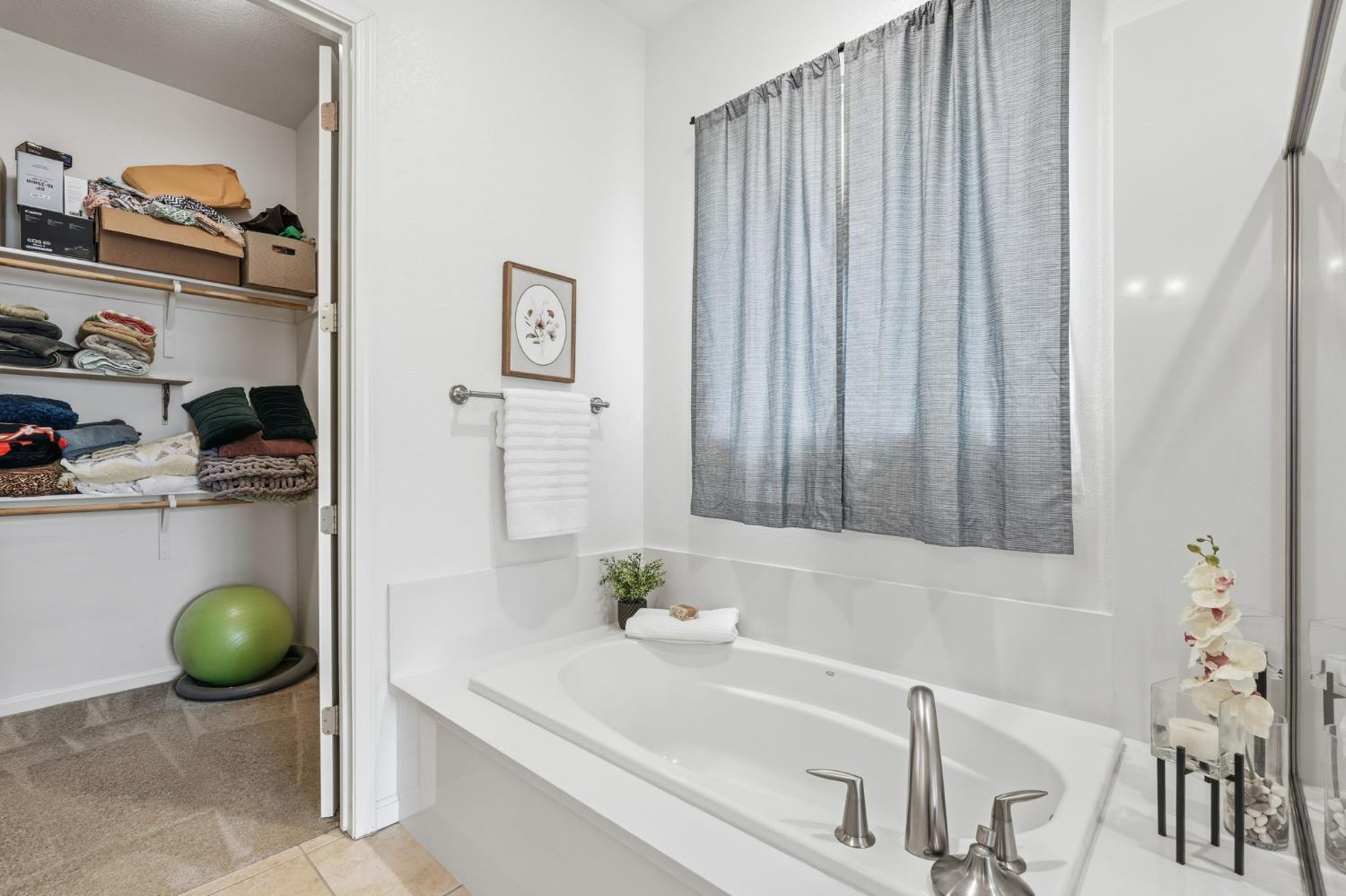 1249 Blue Flax Dr, Patterson, CA 95363