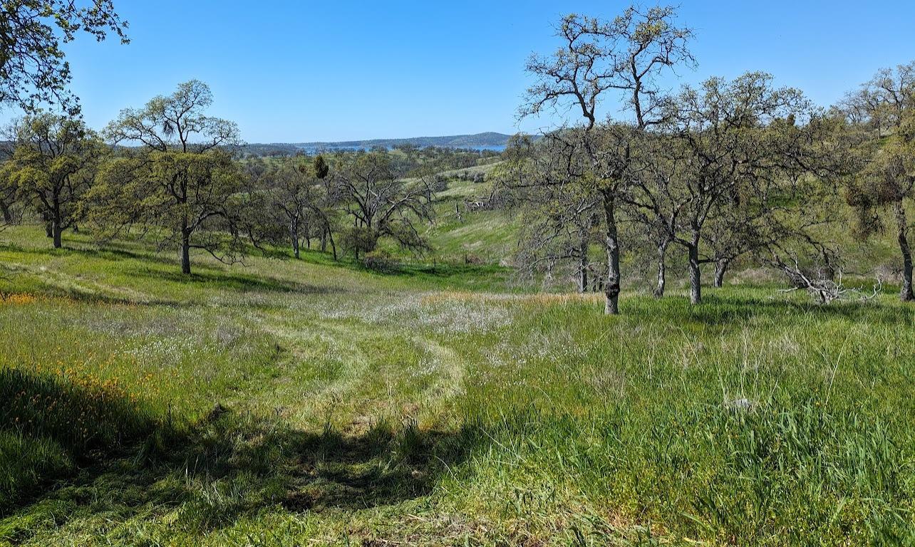 931 Arbolada, La Grange, CA 95329