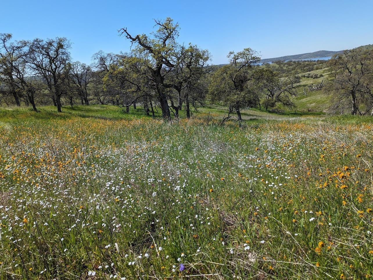 931 Arbolada, La Grange, CA 95329