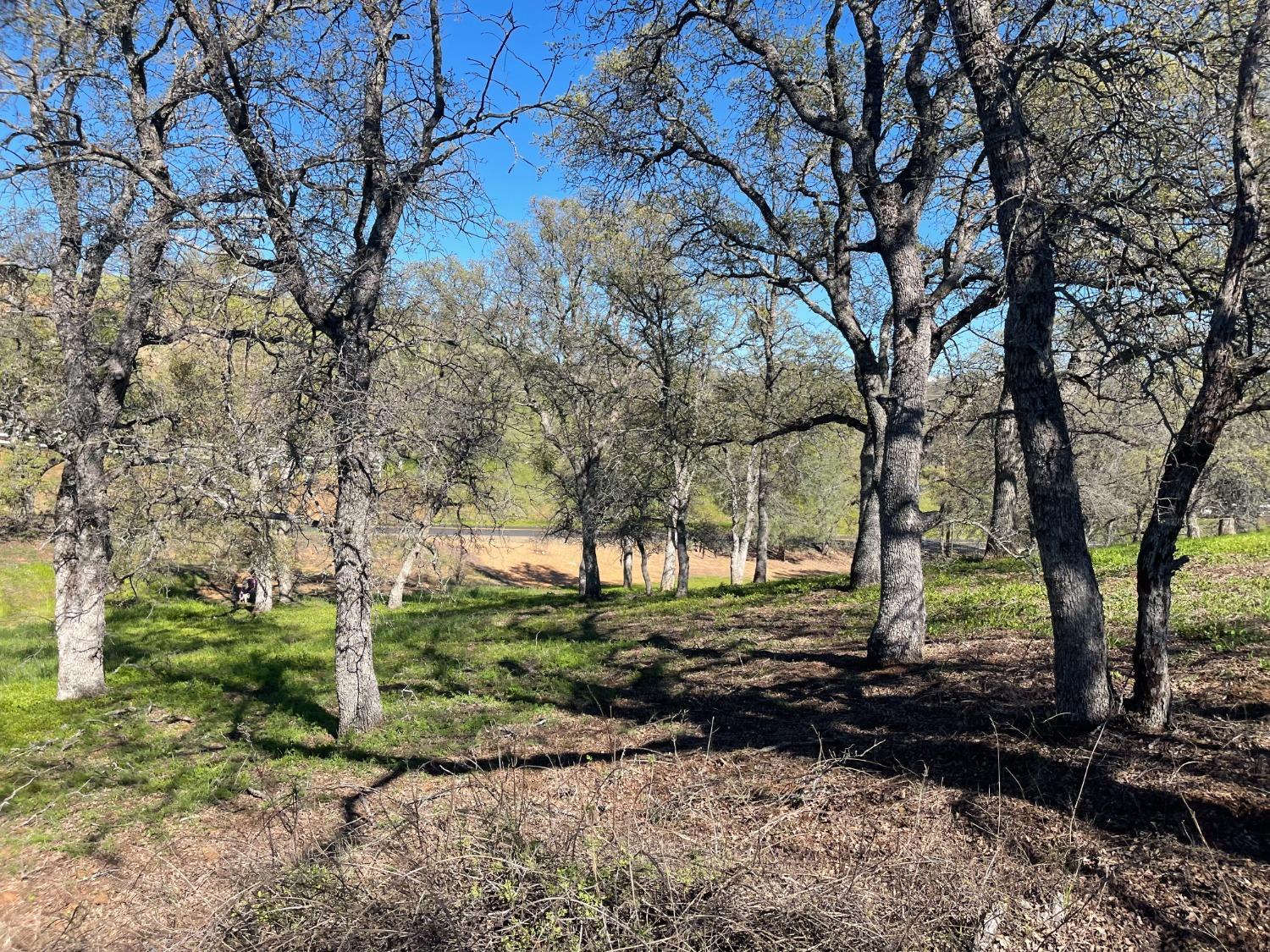 931 Arbolada, La Grange, CA 95329