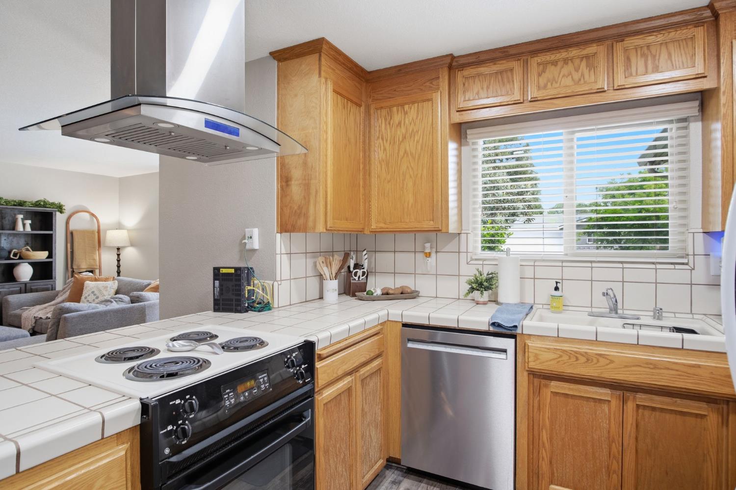 1480 Berry Dr, Turlock, CA 95382