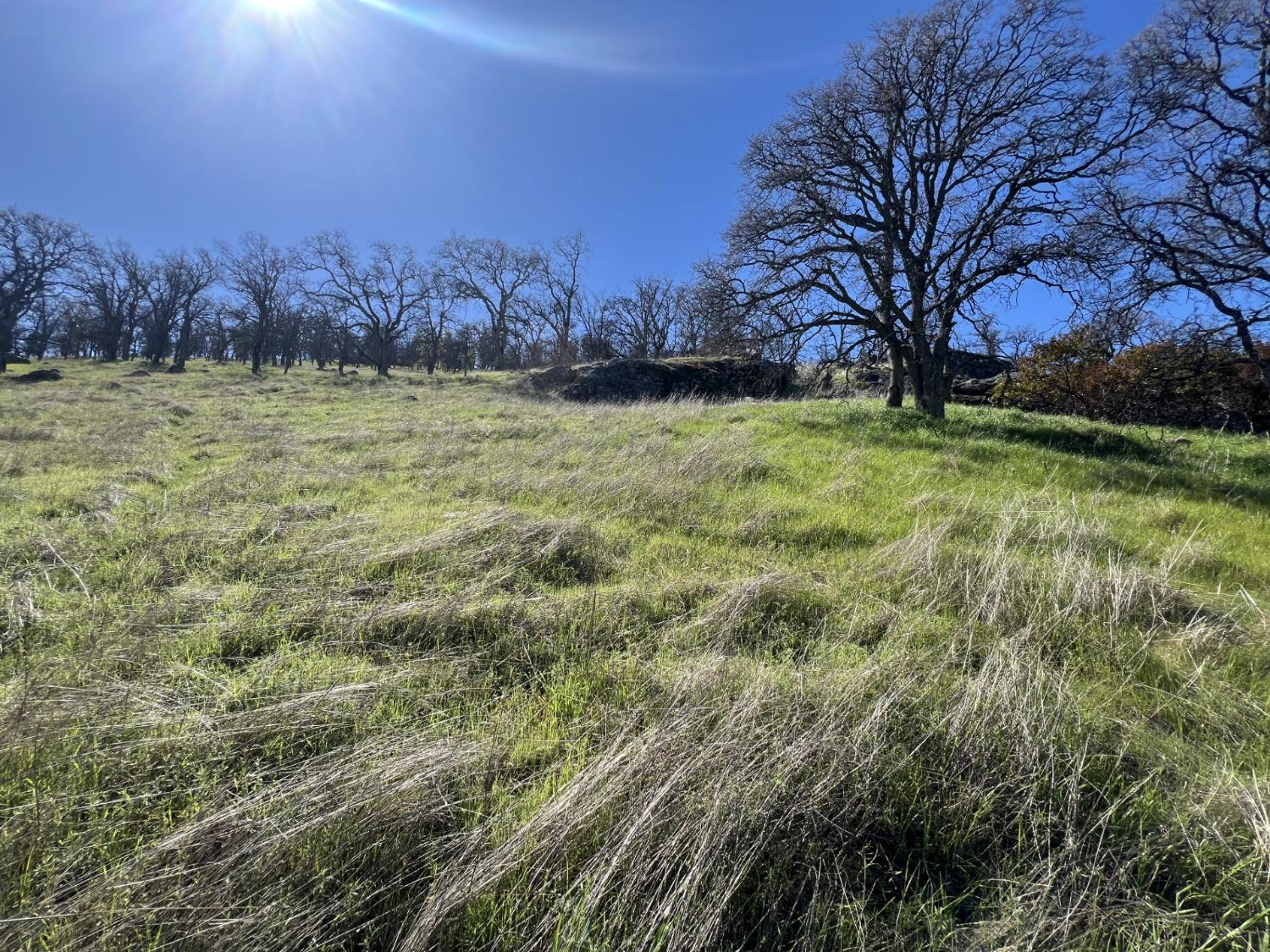 9405 Coronado Dr, La Grange, CA 95329