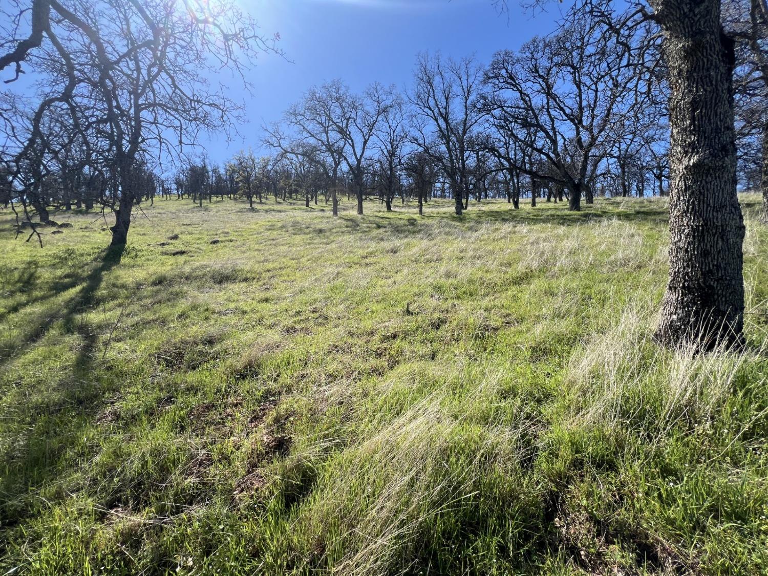 9405 Coronado Dr, La Grange, CA 95329