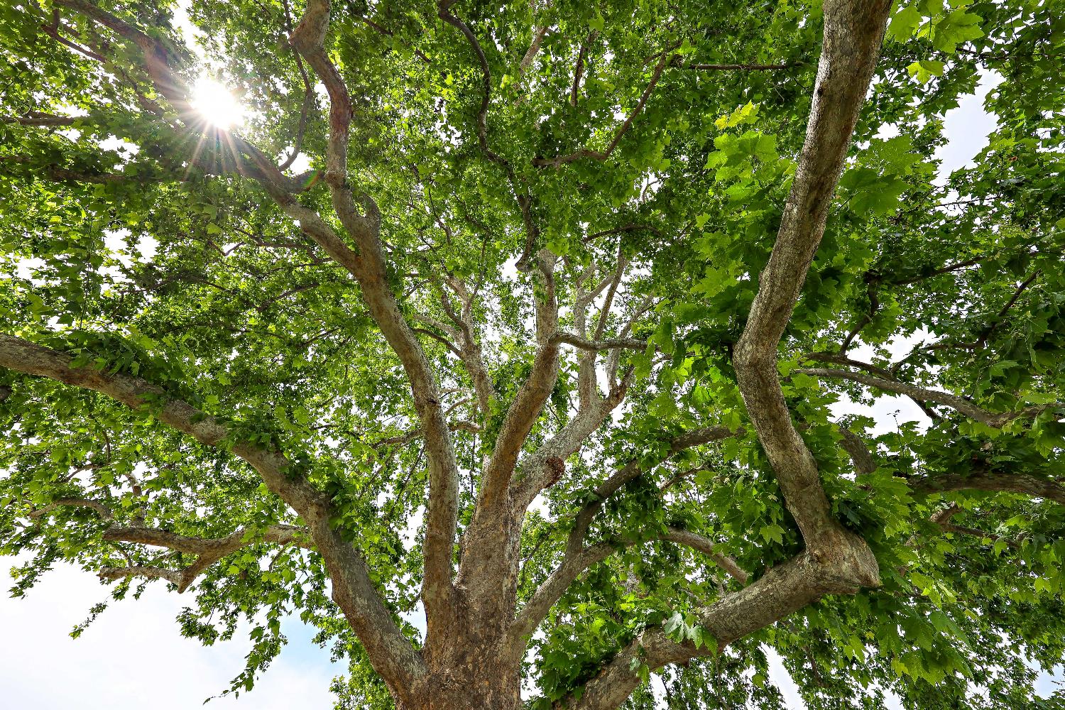 1400 N Tully Rd #121, Turlock, CA 95380